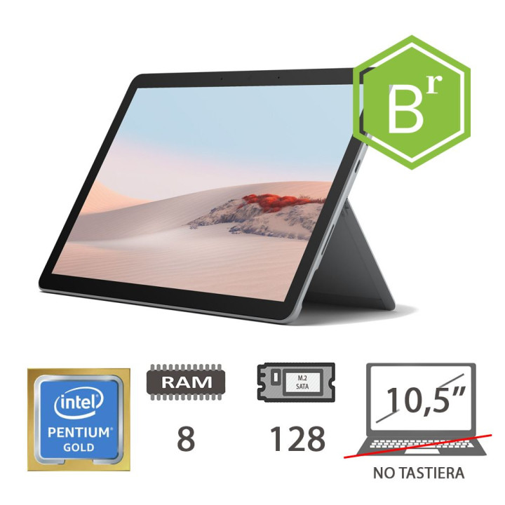 REGLOO MS SURFACE GO 2 4425Y8SSD128105W10P2Y B